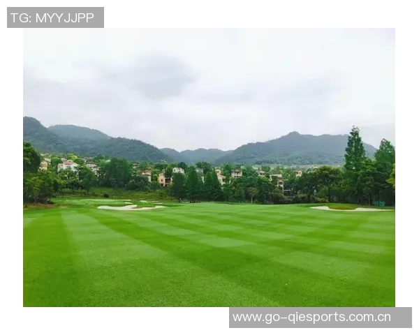 重庆篮球队杯赛精彩表现团队协作成关键助力胜利之路 重庆篮球队杯赛精彩表现团队协作成关键助力胜利之路