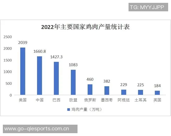 重庆篮球队的灵活性探讨与发展潜力分析 重庆篮球队的灵活性探讨与发展潜力分析